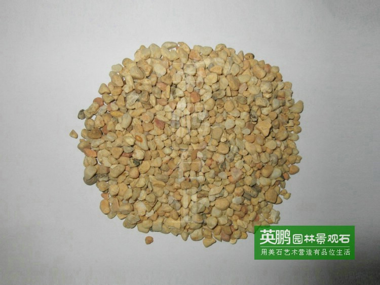 源頭廠家供應多肉鋪面黃金砂黃石米 批發水族造景黃金砂水洗黃沙