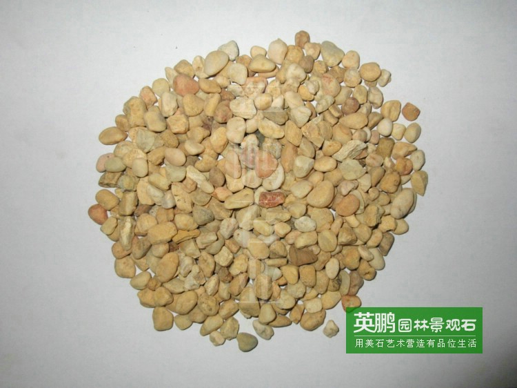 廠家供應園林景觀裝飾水洗黃金砂黃沙 黃色鵝卵石 批發價格超底