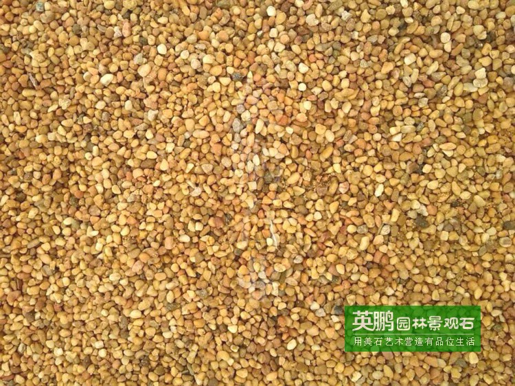 深圳廠家大量直銷機制米黃金砂象牙黃石米 室內戶外裝飾用黃石仔