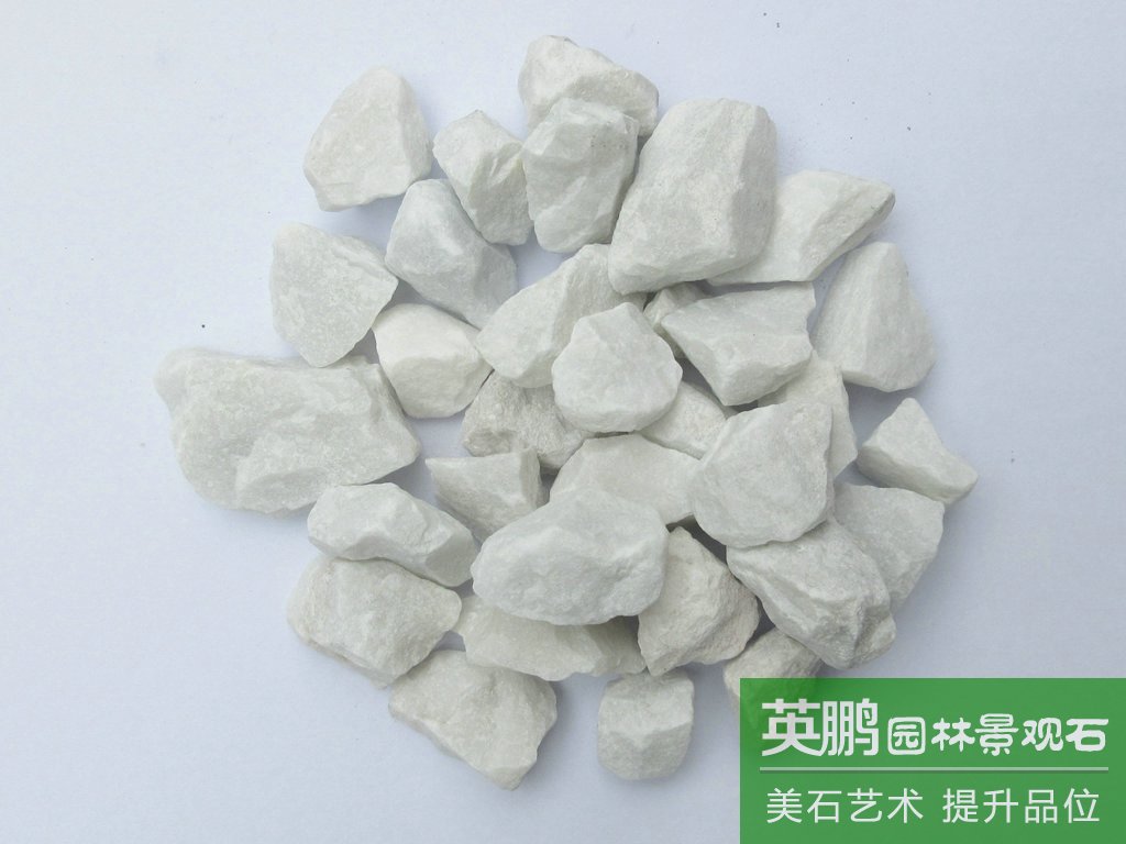 銷售白石子水洗石礫石廠家 多肉鋪面園林裝飾機制白色碎石水磨石