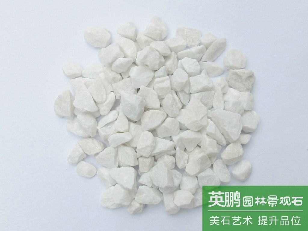 一手貨源賣白色水磨石礫石子 白色碎石水洗石 規格齊全 質量保證