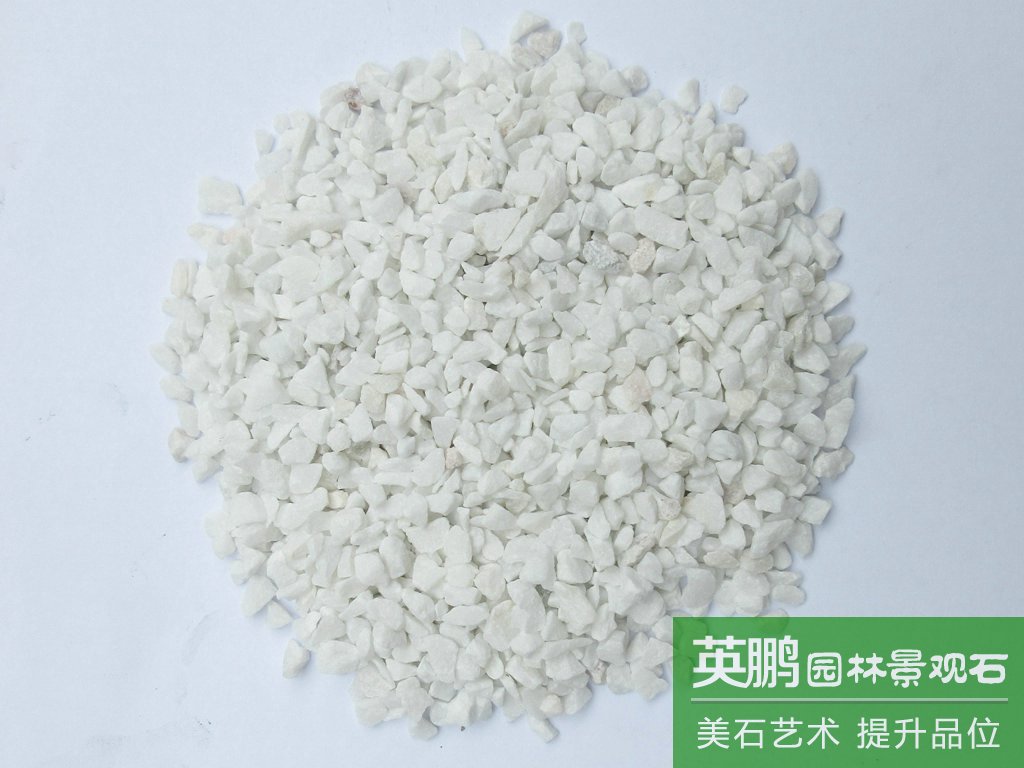 英鵬大量供應 白色水洗石米鋪面造景用白石  批發機制雪花白石米