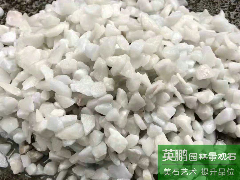 大量批發深圳各型號齊全白色水磨石米純白水洗石  白色礫石碎石米