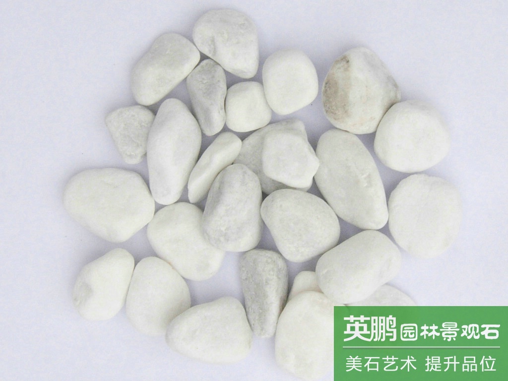 源頭廠家批發 白色機制鵝卵石色礫石子 景觀園林裝飾用白色小石頭