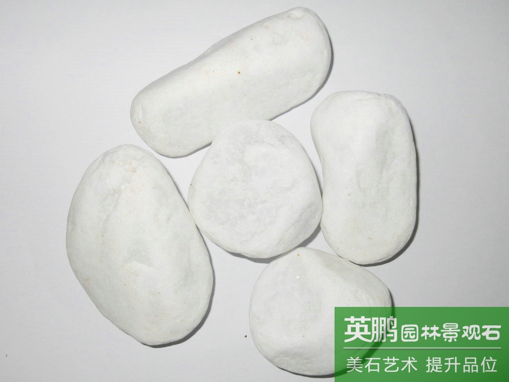 英鵬直銷 枯山水造景白色機制鵝卵石雪花白石  機制水洗水磨白石