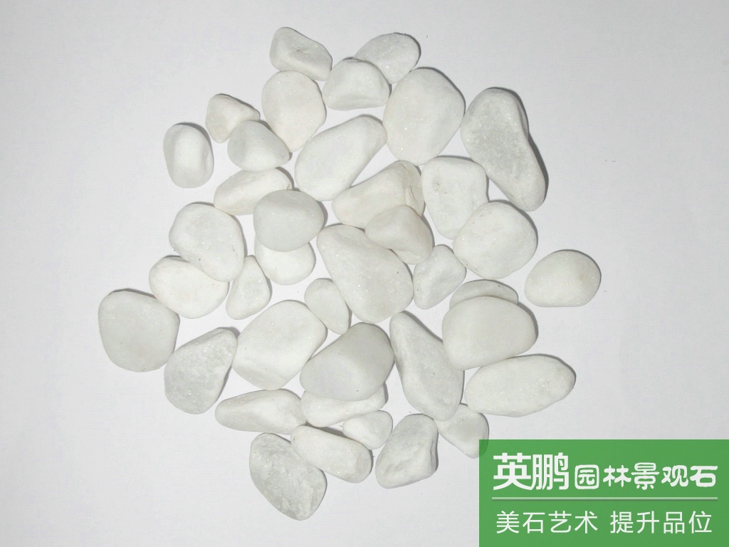 廠家大量供應白卵石水磨水洗石 鋪路白色機制鵝卵石碎石 一手貨源