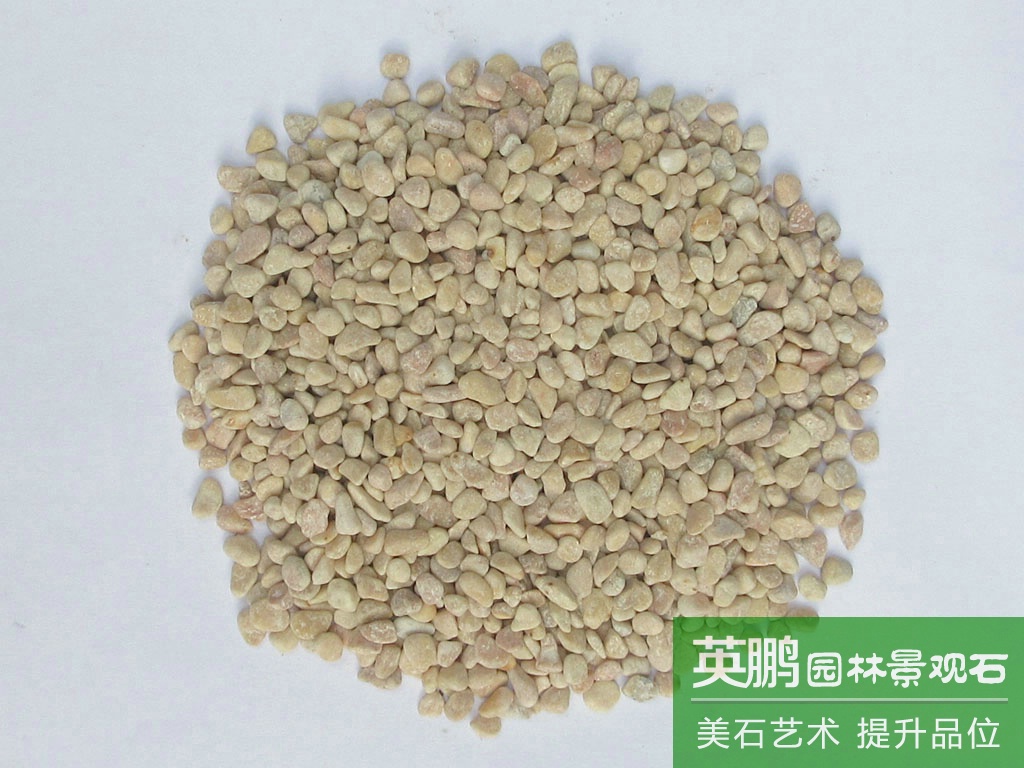 源頭廠家現貨批發水磨黃石 地板透水石 膠粘石 機制純黃水洗石米