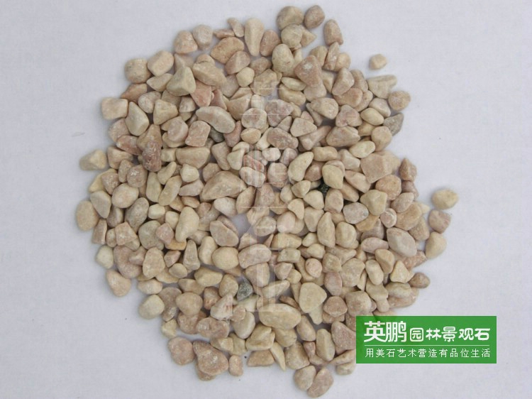 廠家大量批發水磨水洗黃石 鋪路黃色小礫石 膠粘黃碎石 小石仔
