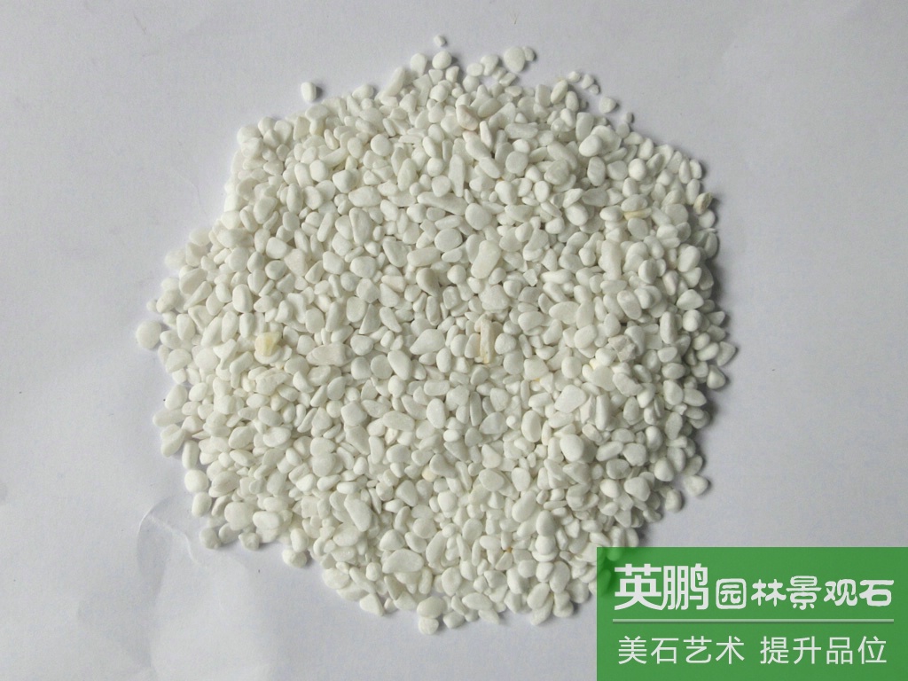 源頭廠家直銷 白水磨水洗石 鋪面造景機制白石米 批發雪花白石米