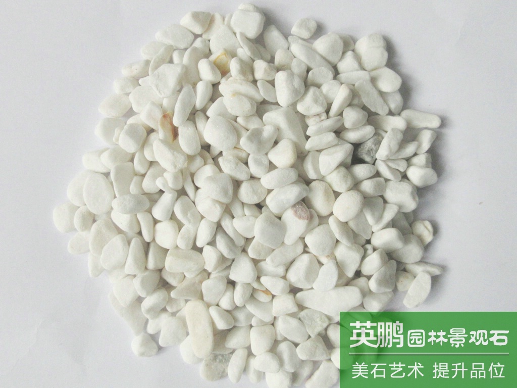 實力廠家生產枯山水裝飾用白石米 大量批發水磨石米 現貨小礫石