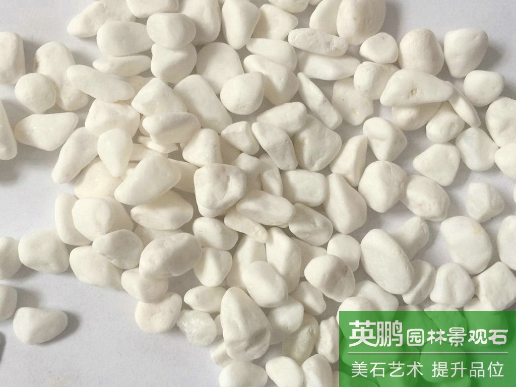 廠家直銷 大量枯山水造景水磨石雪花白石米 機制水洗小碎石礫石仔