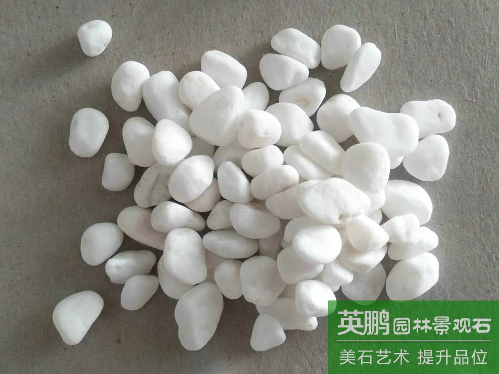 超白水磨石米小礫石 工廠倉庫家居醫院地坪水磨白石子地面白礫石