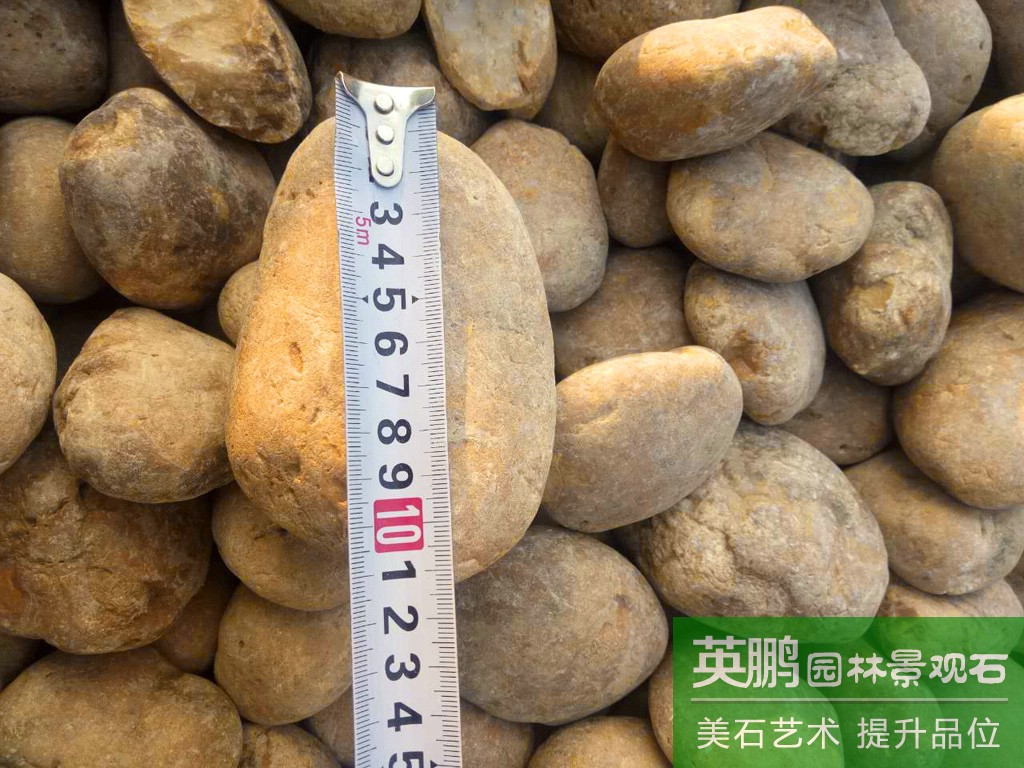 大量黃色鵝卵石現貨 廠家批發過濾用黃鵝卵石 各規格定制出售