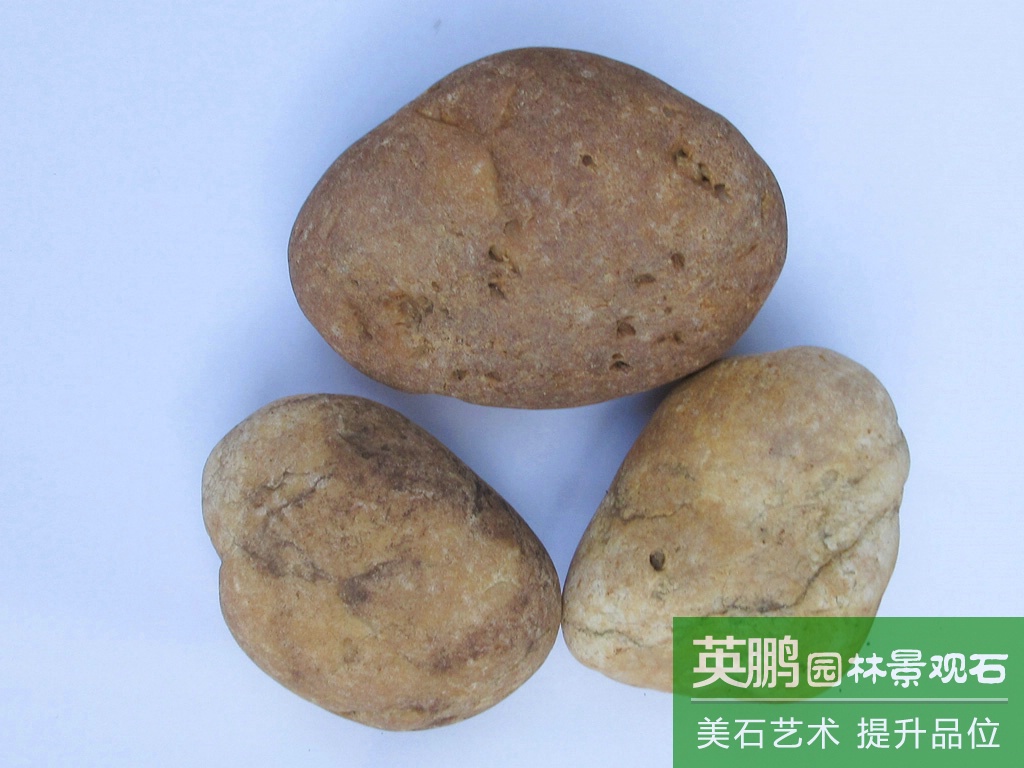 英鵬供應黃色鵝卵石虎皮黃鵝卵石 園藝造景純黃石子 鋪面便道黃石
