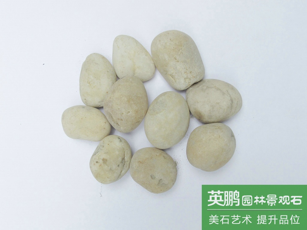大量出售白鵝卵石 天然河灘純白色鵝卵石 水池墊底盆栽景觀石材