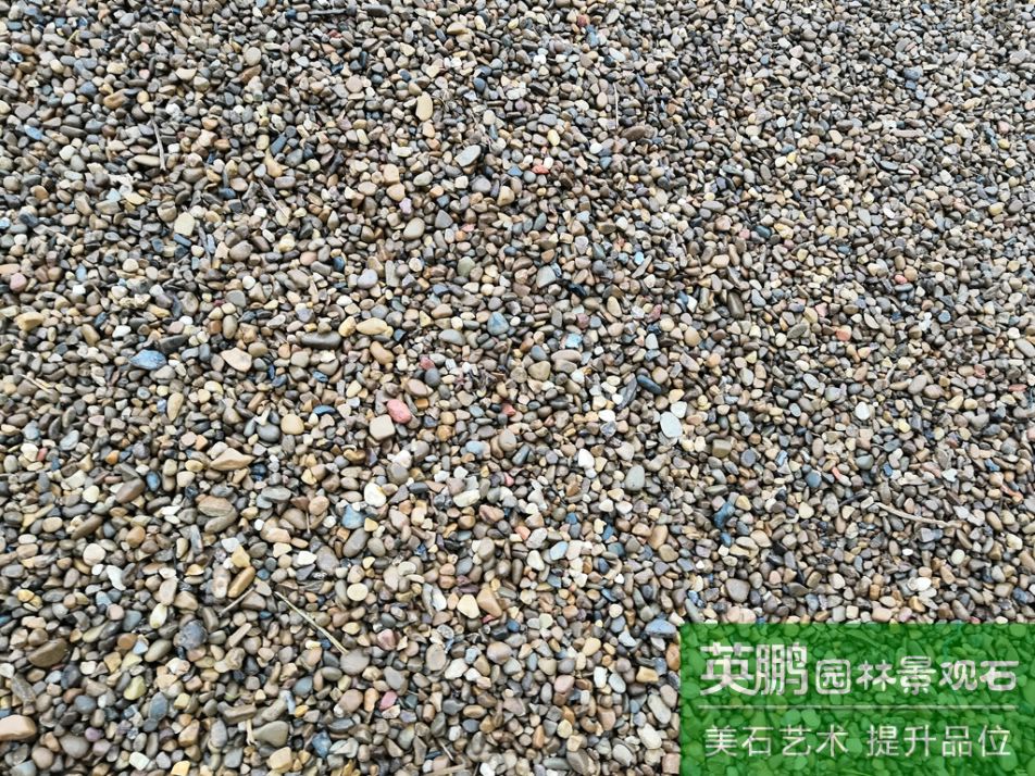 火爆供應高硬度鵝卵石自然雜色鵝卵石 品質保證 園林景觀鋪路石