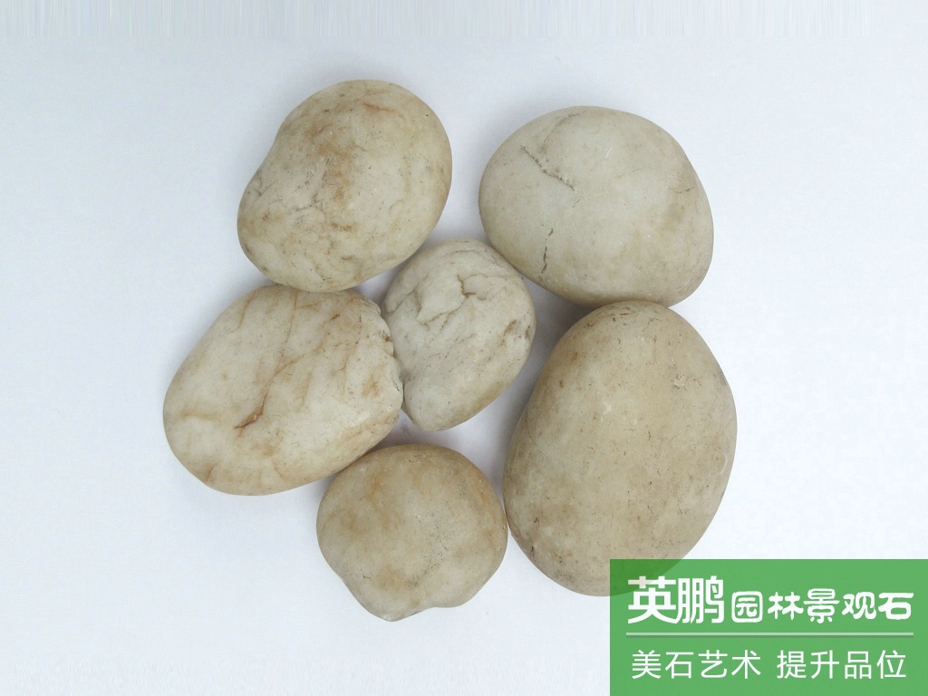 批發白鵝卵石枯山水白河灘石礫石 小區公園園藝純白石子庭院鋪路