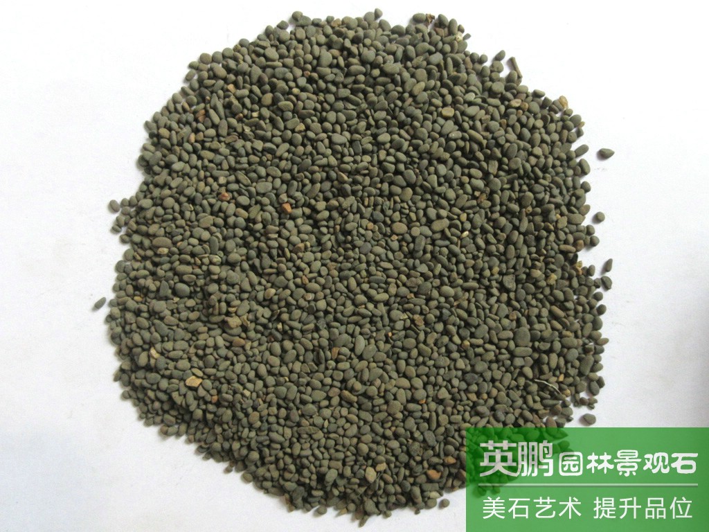 廠家直銷廣東黑珍珠黑色鵝卵石 灰色鵝卵石園林鋪路景觀黑石頭
