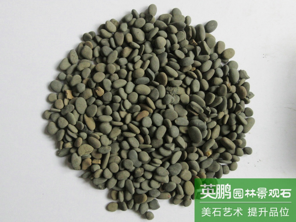 廠家供應黑色鵝卵石 灰色鵝卵石 黑珍珠礫石省源頭廠家大量現貨