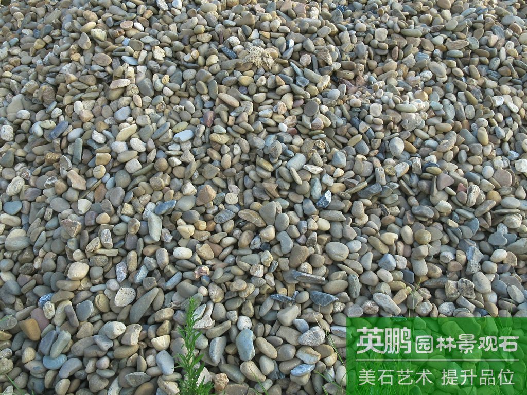 英德產地貨源水沖河灘石雜色鵝卵石 變電站人工湖用自然鵝卵石