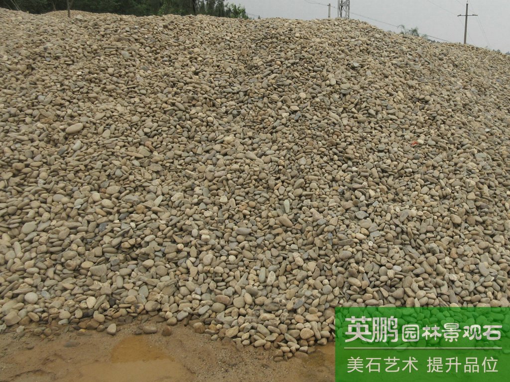 廠家大量供應雜色鵝卵石 天然精品鵝卵石 五彩園林家裝鋪路石批發