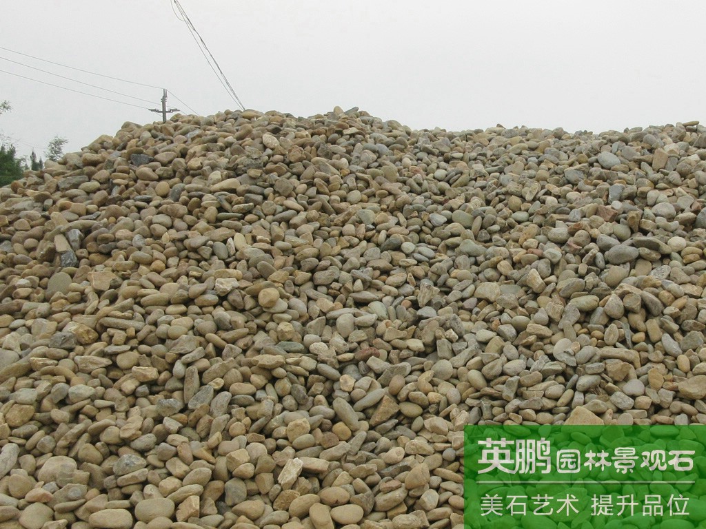 源頭廠家大量供應污水承托層雜色鵝卵石 多規格鵝卵石 五彩河石