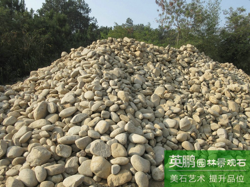 廠家批發自然景觀鋪裝雜色鵝卵石 五彩鵝卵石 規格齊全現貨供應