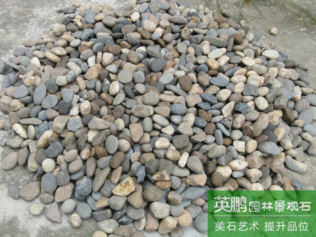 廠家直銷天然鵝卵石園林裝飾鋪路鵝卵石 大量園林點綴河石原石