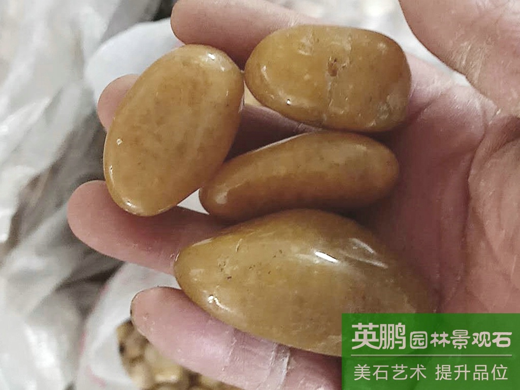 一手貨源大量供應廣州高拋光黃色雨花石 特級高光黃色鵝卵石批發