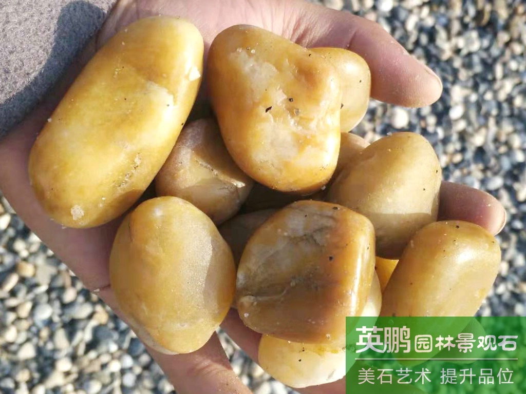 南京雨花石批發廠家供應商 英鵬自有工廠精品高光黃色天然雨花石