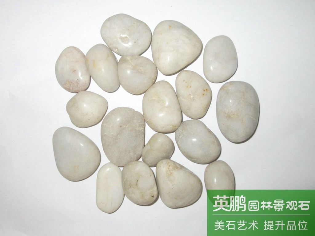 英鵬大量批發園藝造景白色雨花石 白色拋光鵝卵石 廠家批發白石子