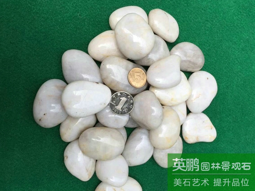 園藝造景裝飾白色雨花石卵石子 鋪路工程水池墊底白色拋光鵝卵石