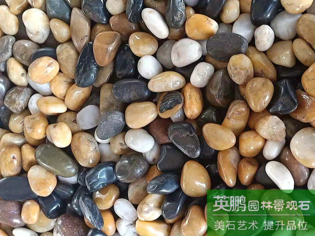 天然雨花石精品高拋鵝卵石 家裝水族盆栽造景原產地高拋雨花石