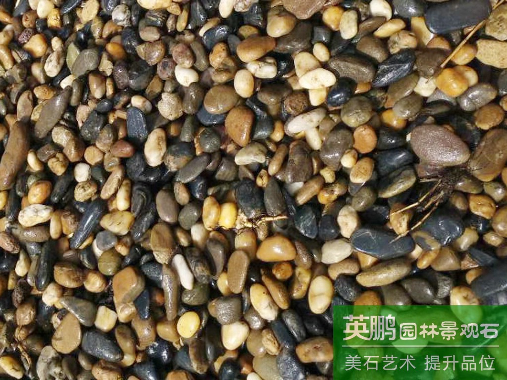 英鵬供應商源頭廠家供應精品五彩雨花石 高光雨花石高拋鵝卵石
