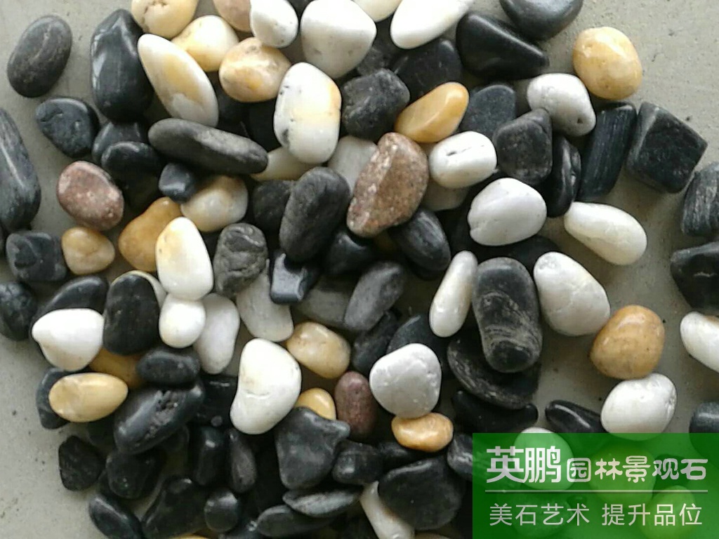 加工定做精品五彩雨花石 天然高光雨花石 特品質高拋鵝卵石鋪路