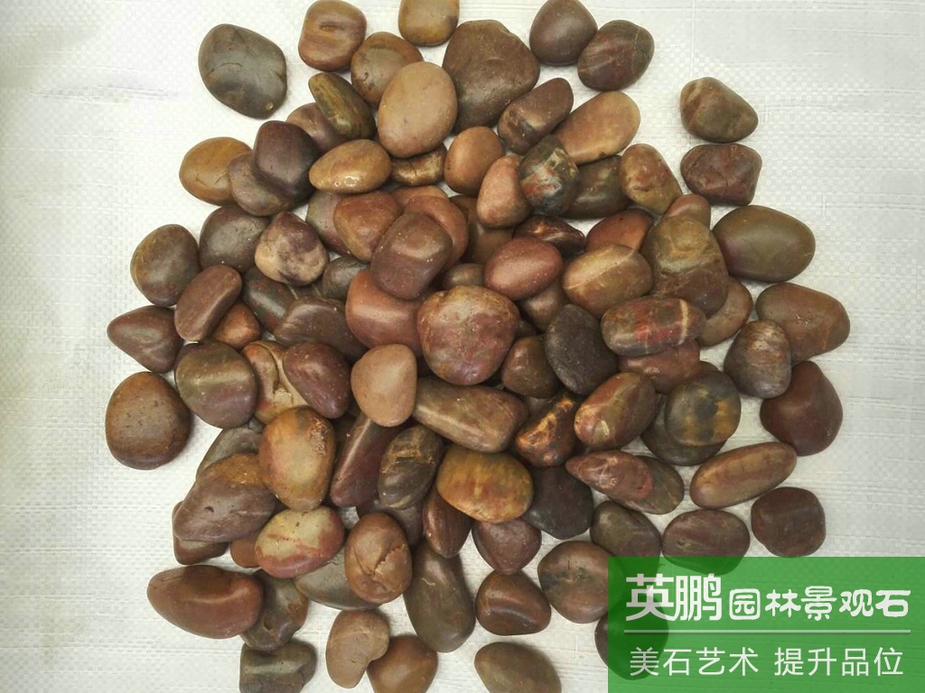 產地大量直銷紅色雨花石 紅色天然拋光雨花石 英鵬供應商源頭廠家