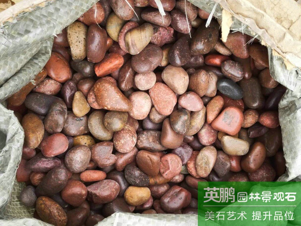 深圳批發紅色天然雨花石 英鵬石場批發一級拋光紅色雨花石鋪路