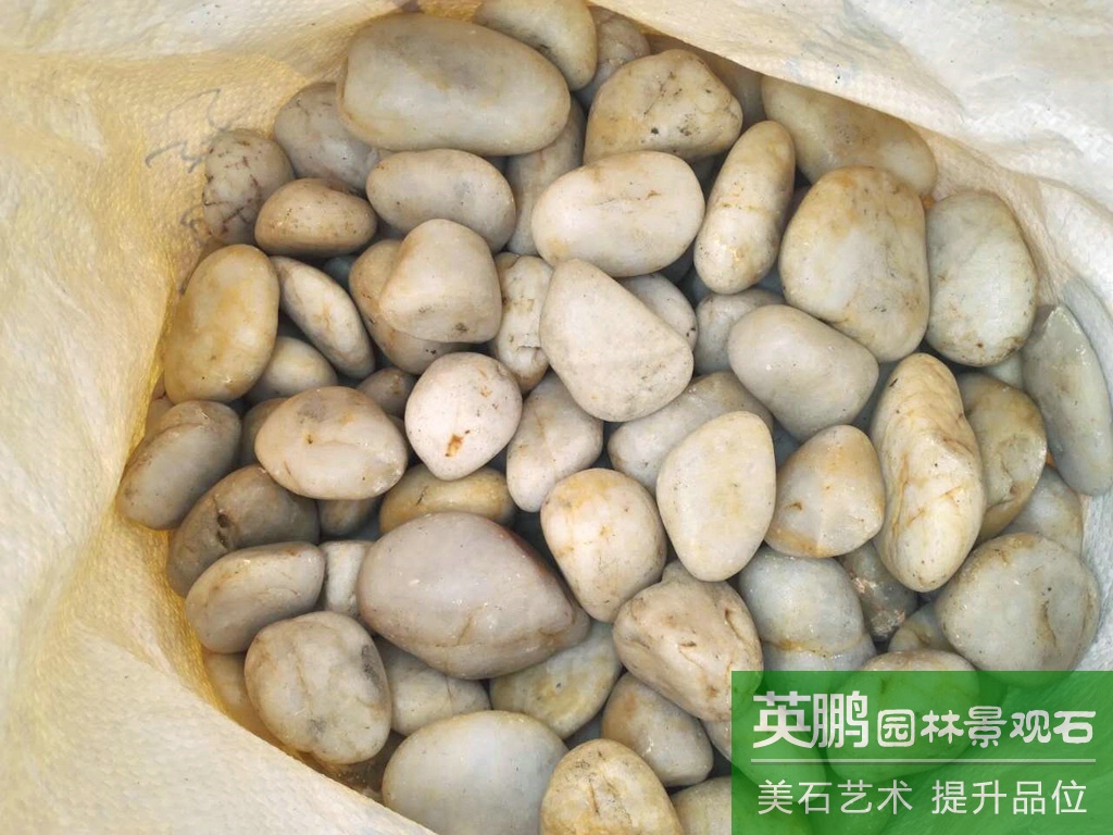 英鵬大量批發園藝造景白色雨花石 白色拋光鵝卵石 廠家批發白石子