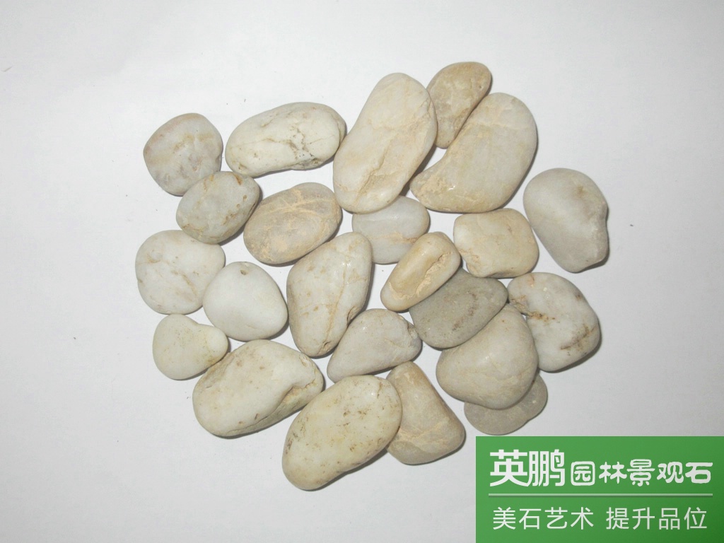 園藝造景裝飾白色雨花石卵石子 鋪路工程水池墊底白色拋光鵝卵石