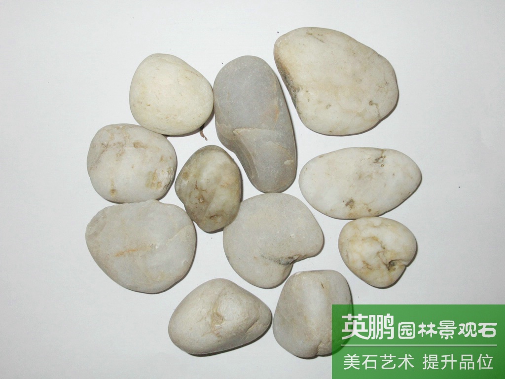英鵬大量供應鵝卵石石頭 裝飾造景用白色雨花石 鵝卵石拋光加工廠