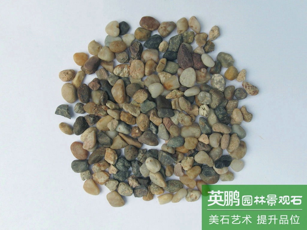 特價南京雨花石天然拋光鵝卵石 盆栽水培魚缸五彩雨花石 小彩石頭