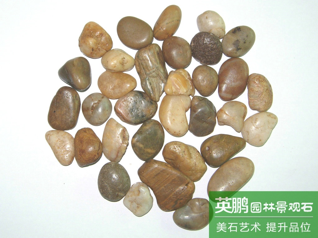 英鵬直銷雨花石鋪面石仔彩石子 多肉鋪面拋光鵝卵石五彩雨花石