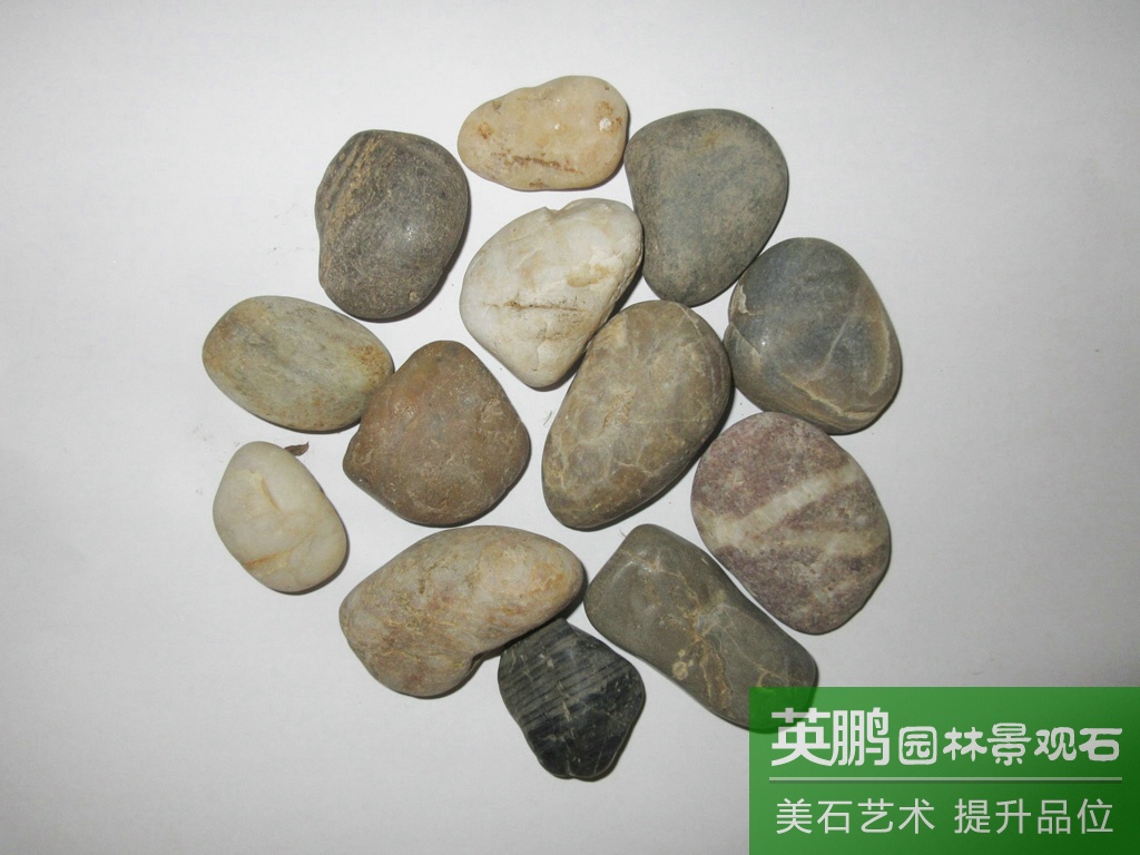 產地貨源批發五彩雨花石拋光鵝卵石 大量園林庭院鋪路雨花石批發