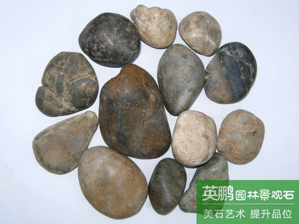 廠家發貨園林鋪道用拋光鵝卵石 自有工廠賣園林景觀五彩色雨花石